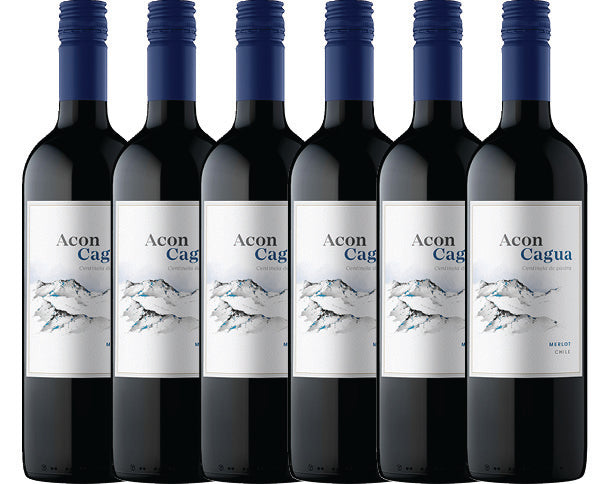 Acon Cagua Merlot Case Deal